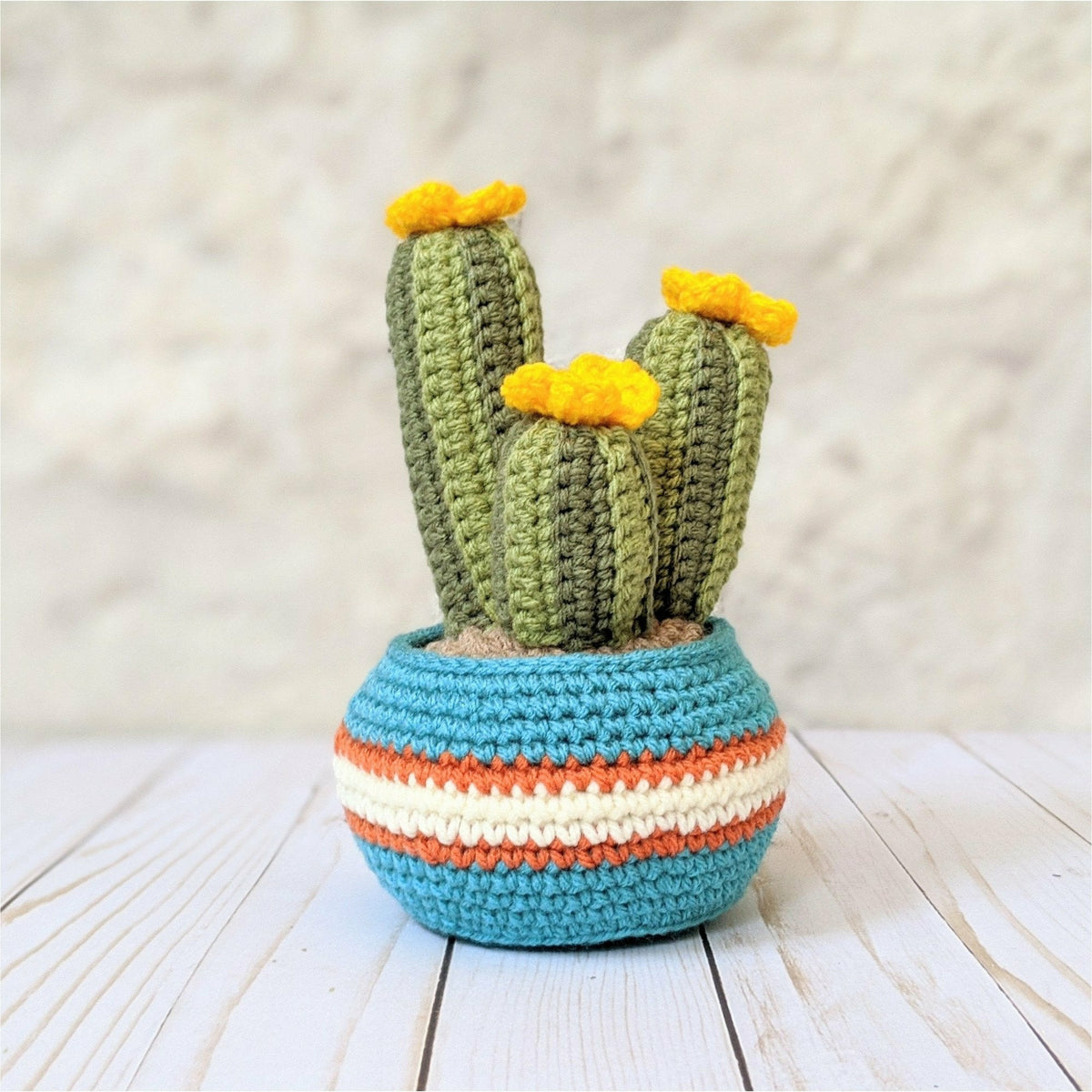 Cactus Crochet Can Cozy