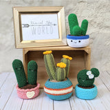 CROCHET PATTERN PACK: Cozy Fall Cactus, Ball Cactus, Cactus Trio, Love Cactus