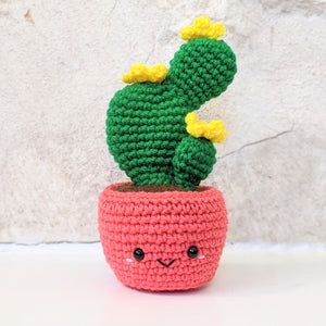 Birthday Cactus for my mom!