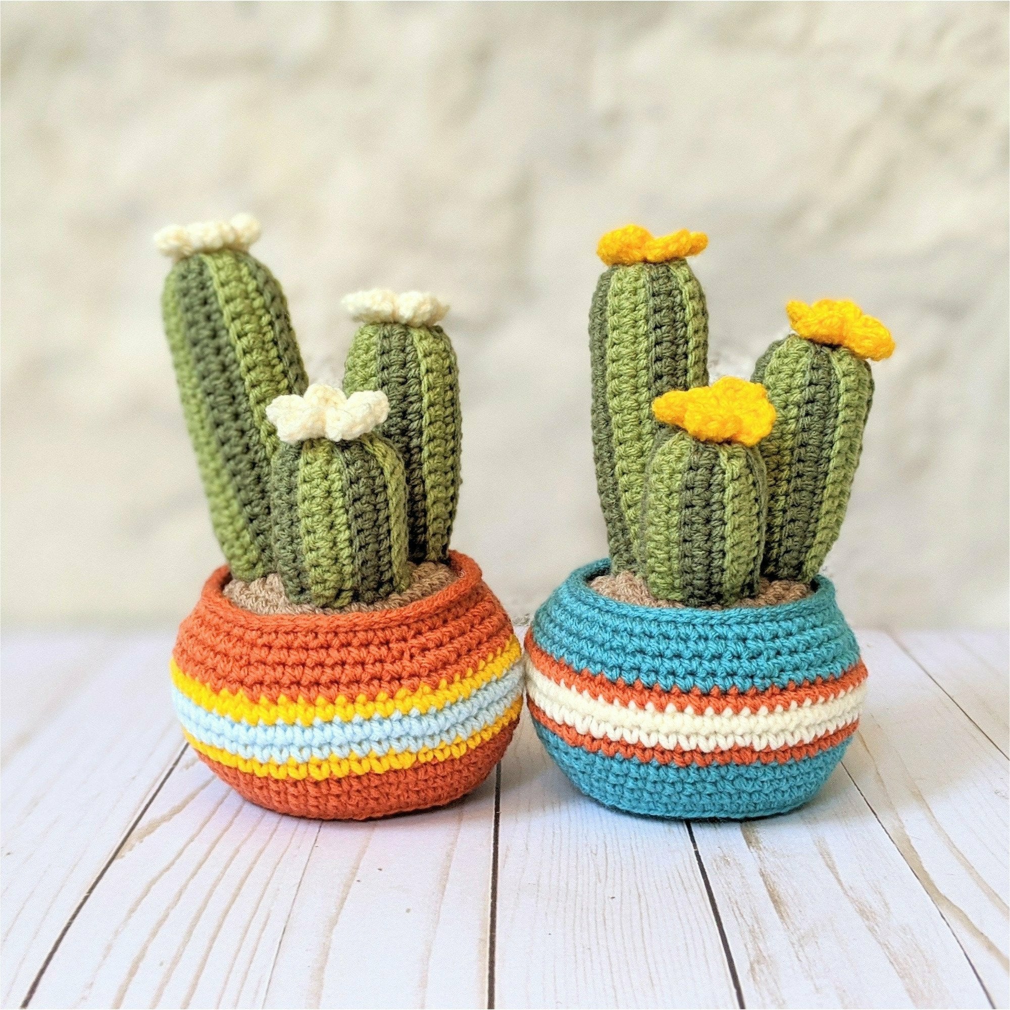 CROCHET PATTERN: Cozy Fall Crochet Cactus