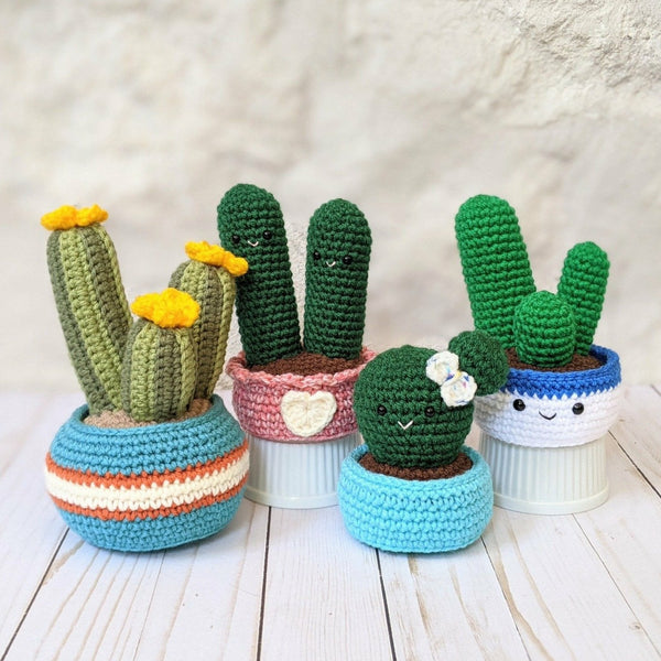 Cactus Crochet Can Cozy